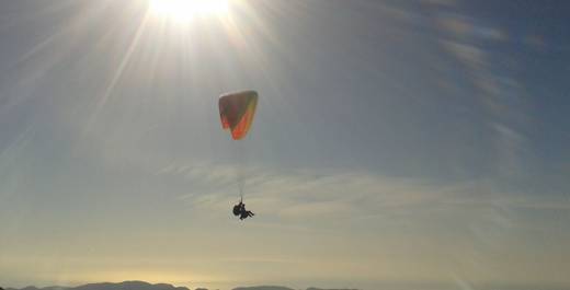 Abendflug gegen die Sonne